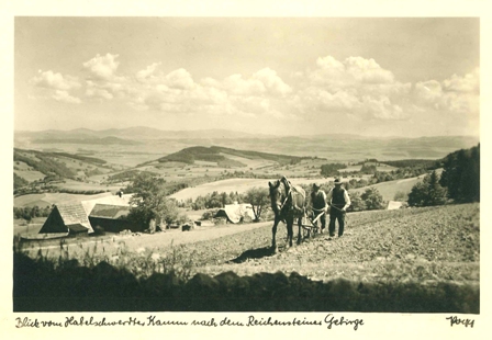 Blick Reichensteiner Gebirge1944 kl